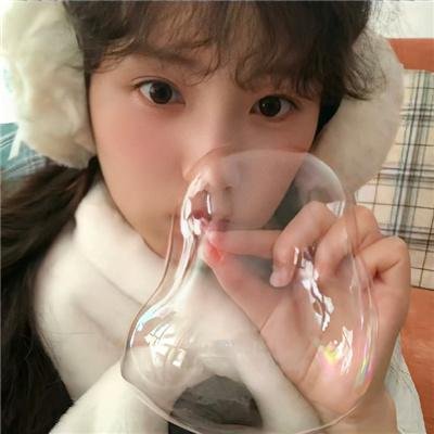 园游会
